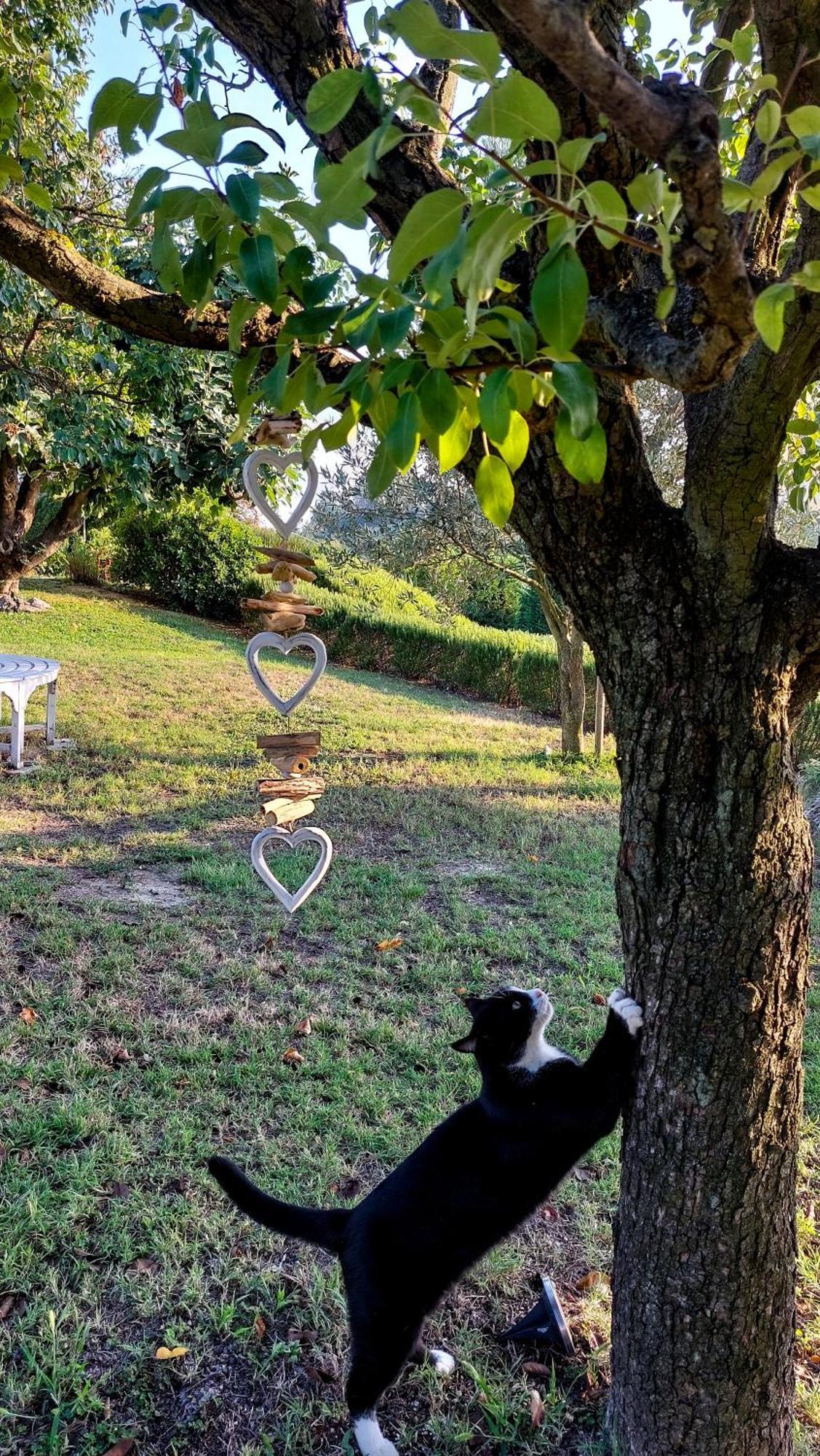Pensjonat Casa Lucesole Fontanile Zewnętrze zdjęcie