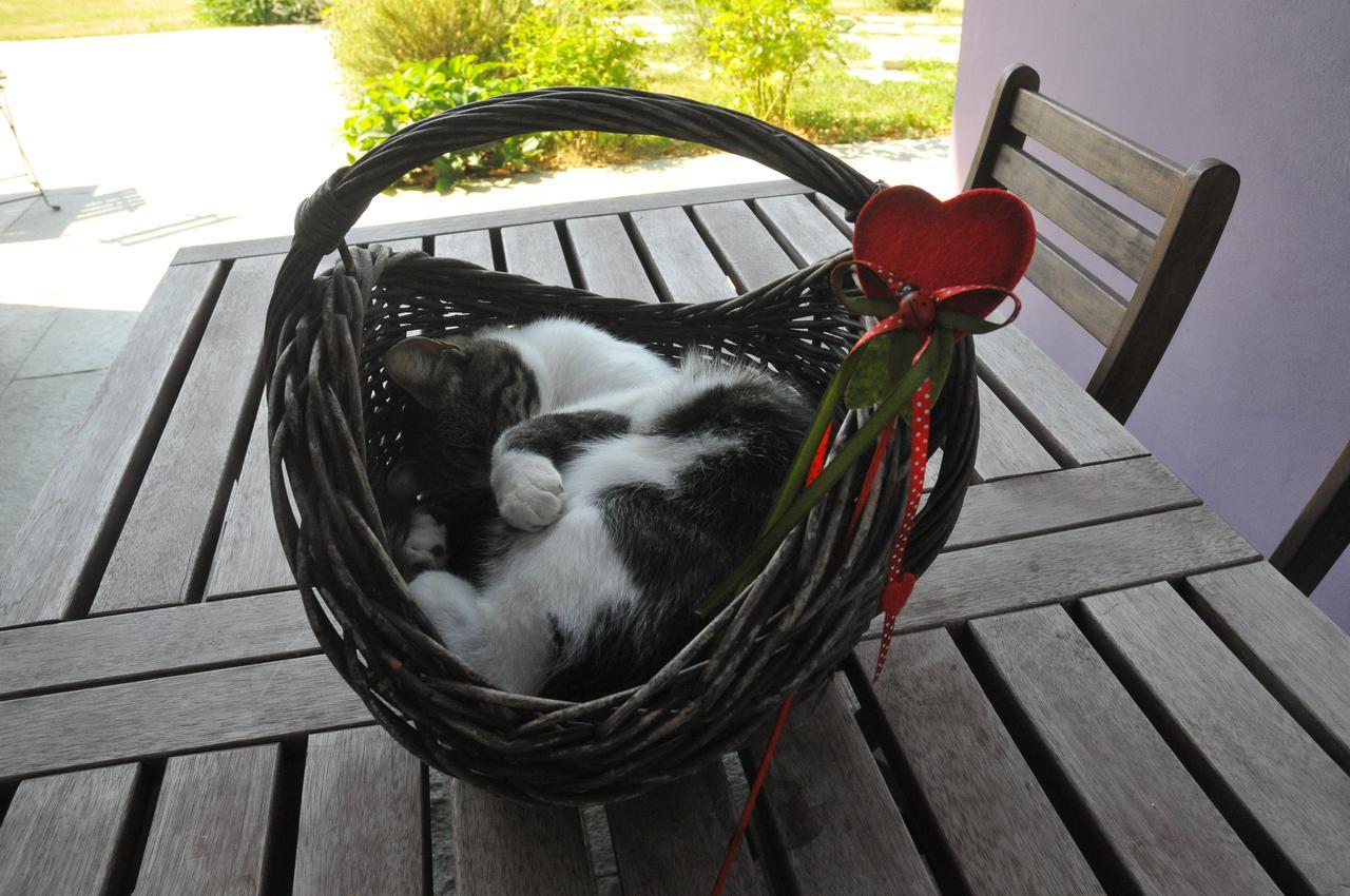 Pensjonat Casa Lucesole Fontanile Zewnętrze zdjęcie