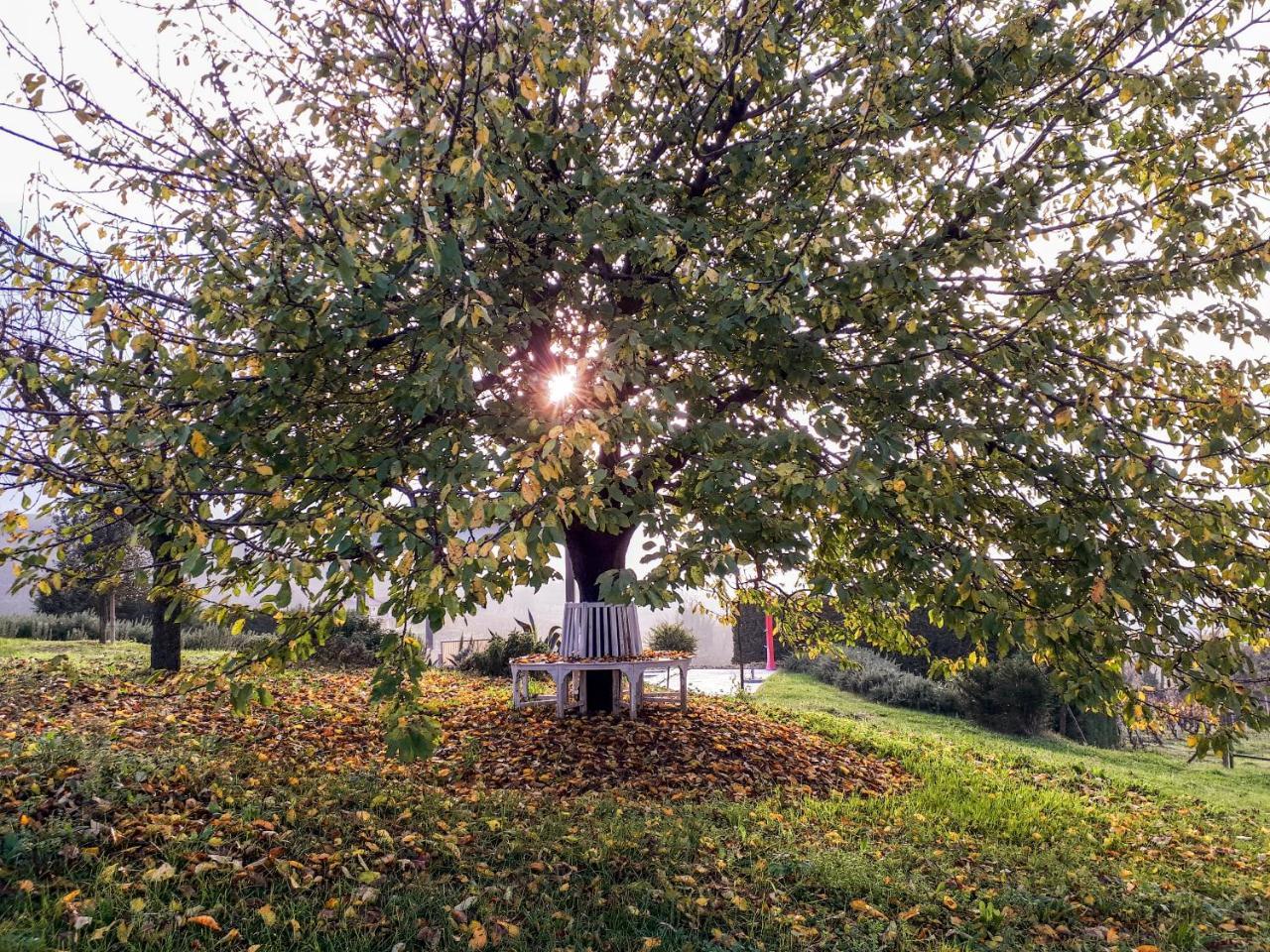Pensjonat Casa Lucesole Fontanile Zewnętrze zdjęcie